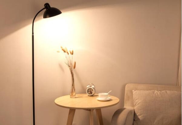 Direct lighting floor lamp